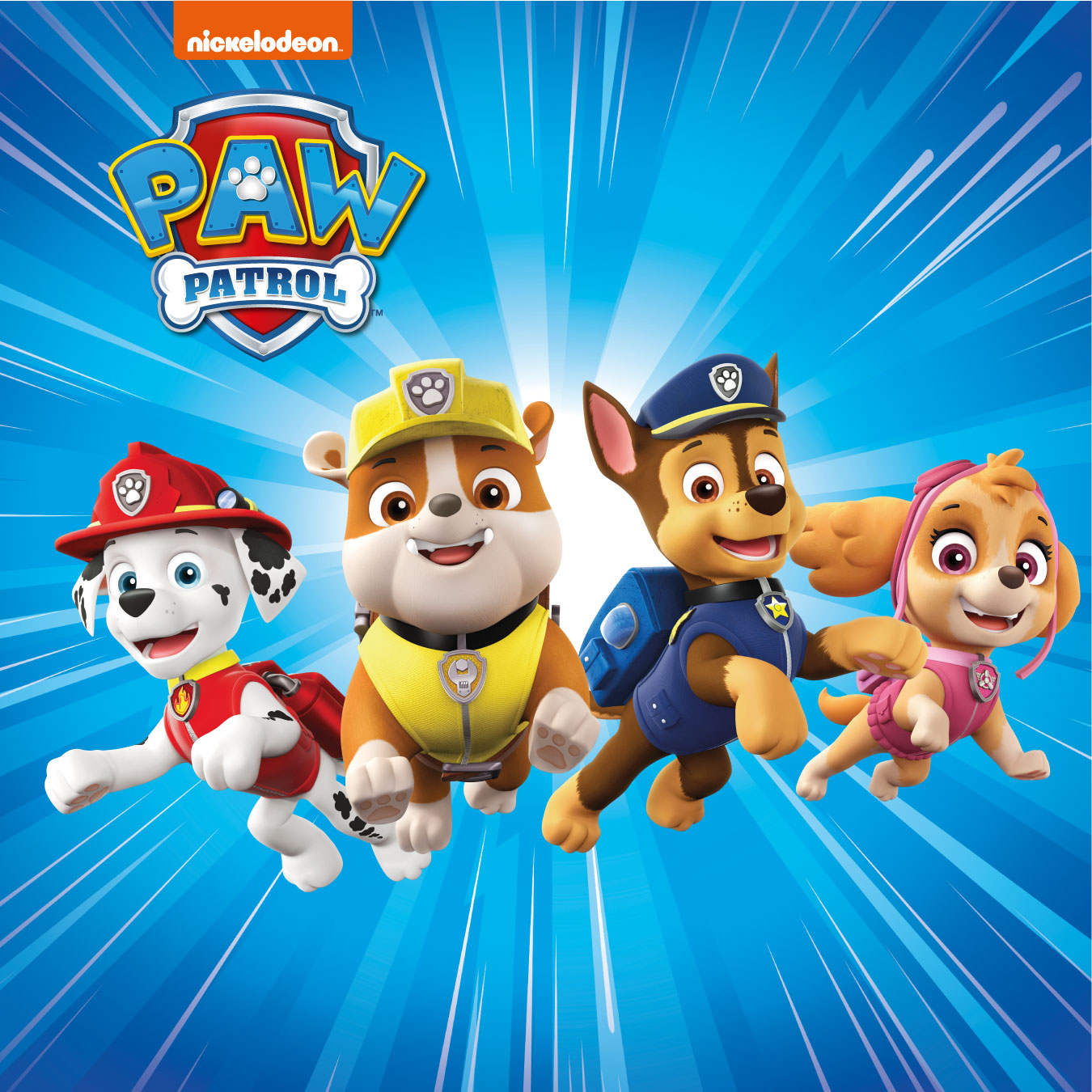 Paw patrol